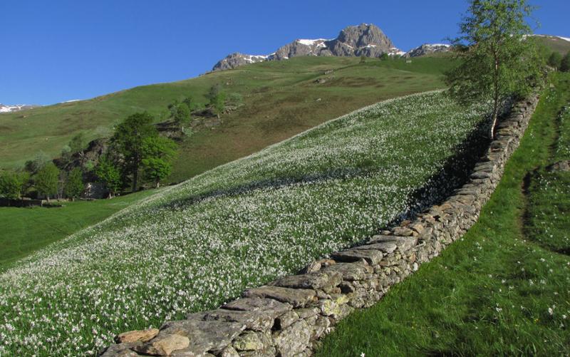 Poggio Frassati dal Tracciolino